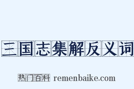 三国志集解反义词是什么意思的图片